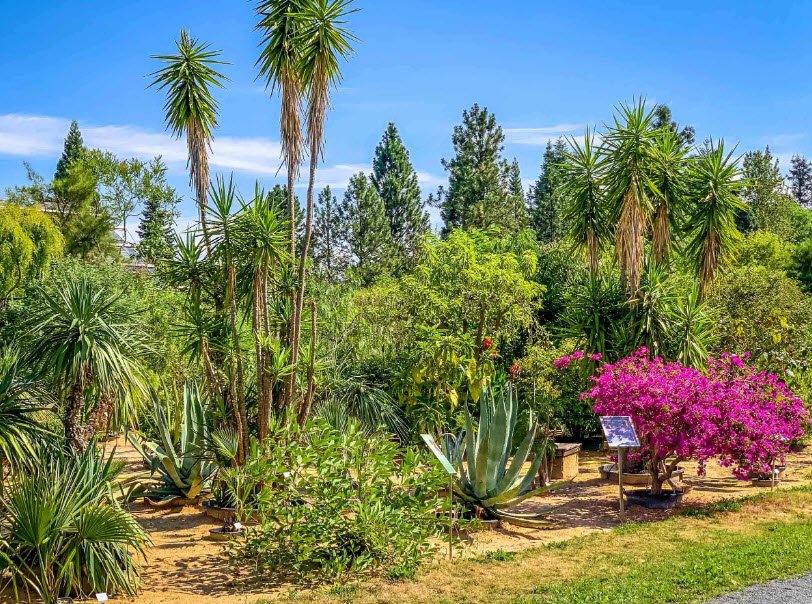 Ökologisch Botanischer Garten der Universität Bayreuth, Gewächshäuser, Bayreuth, Germany, Germany